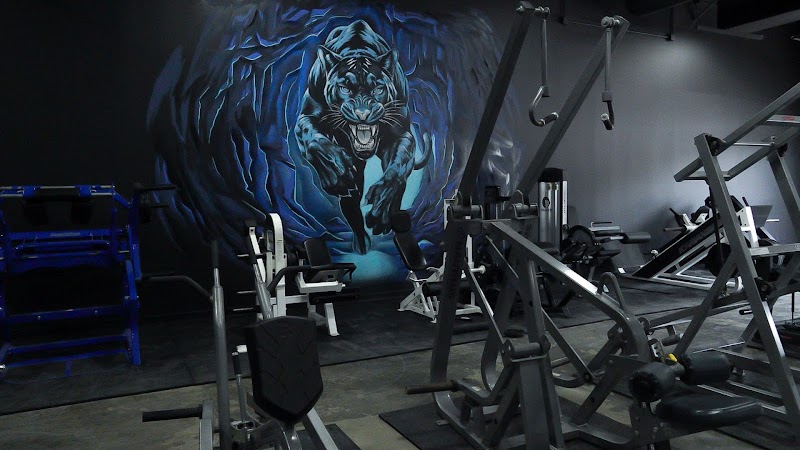 Iron Lair
