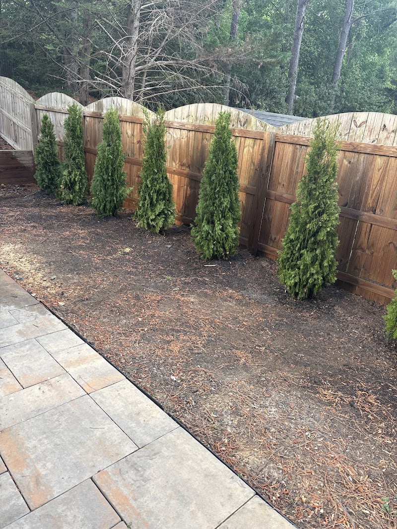 Apex Landscape LLC