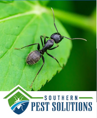 Southern Pest Solutions, Inc