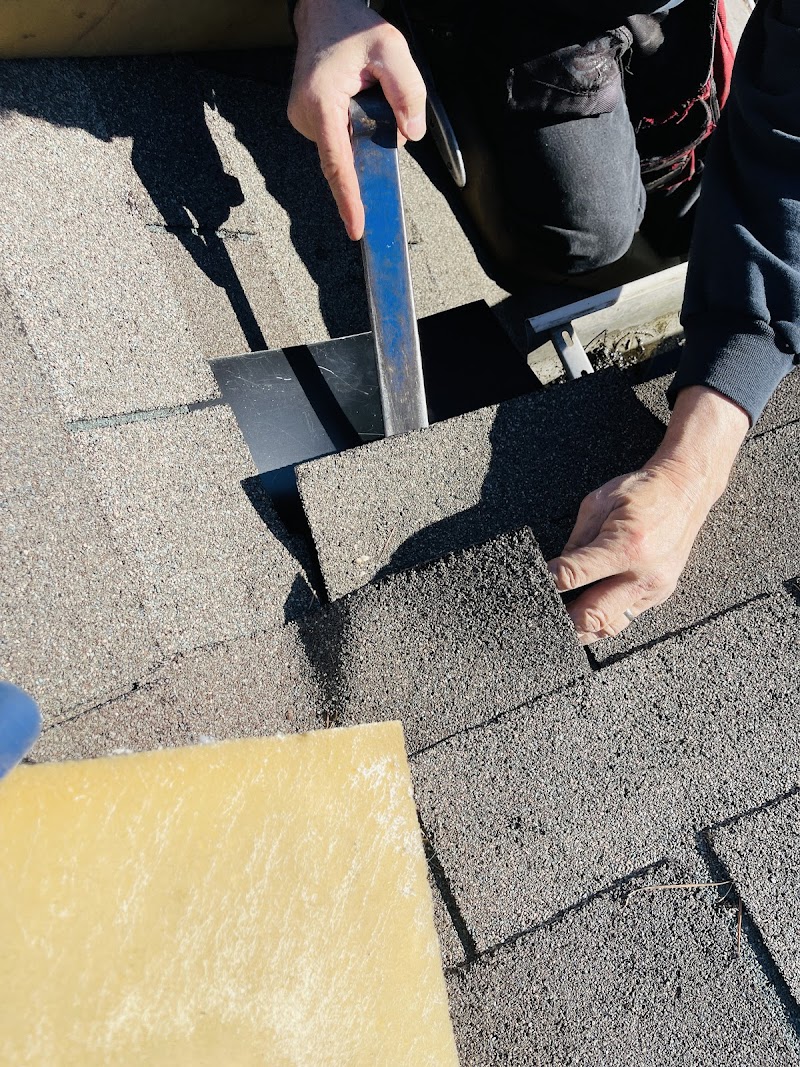 Nailed It Roof Repair