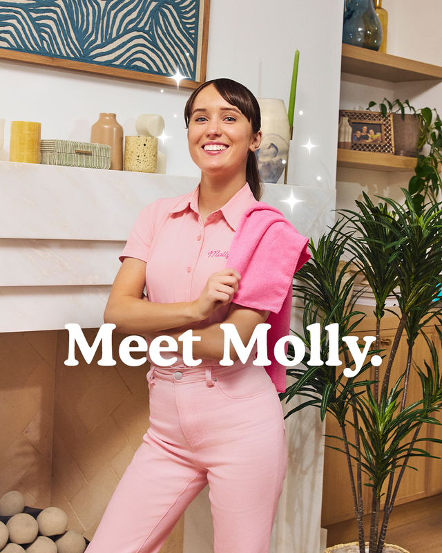 Molly Maid of Southeast Wake County
