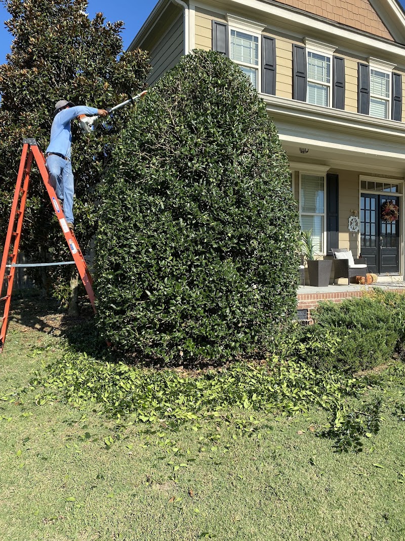 Gamez Landscaping service