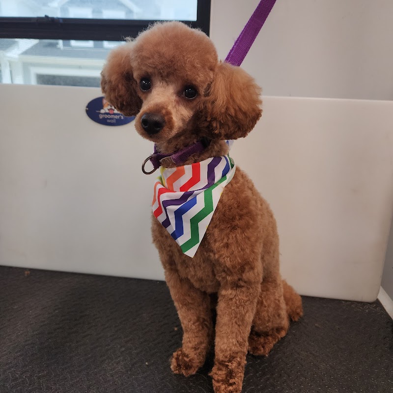 Tranquil Pet Grooming