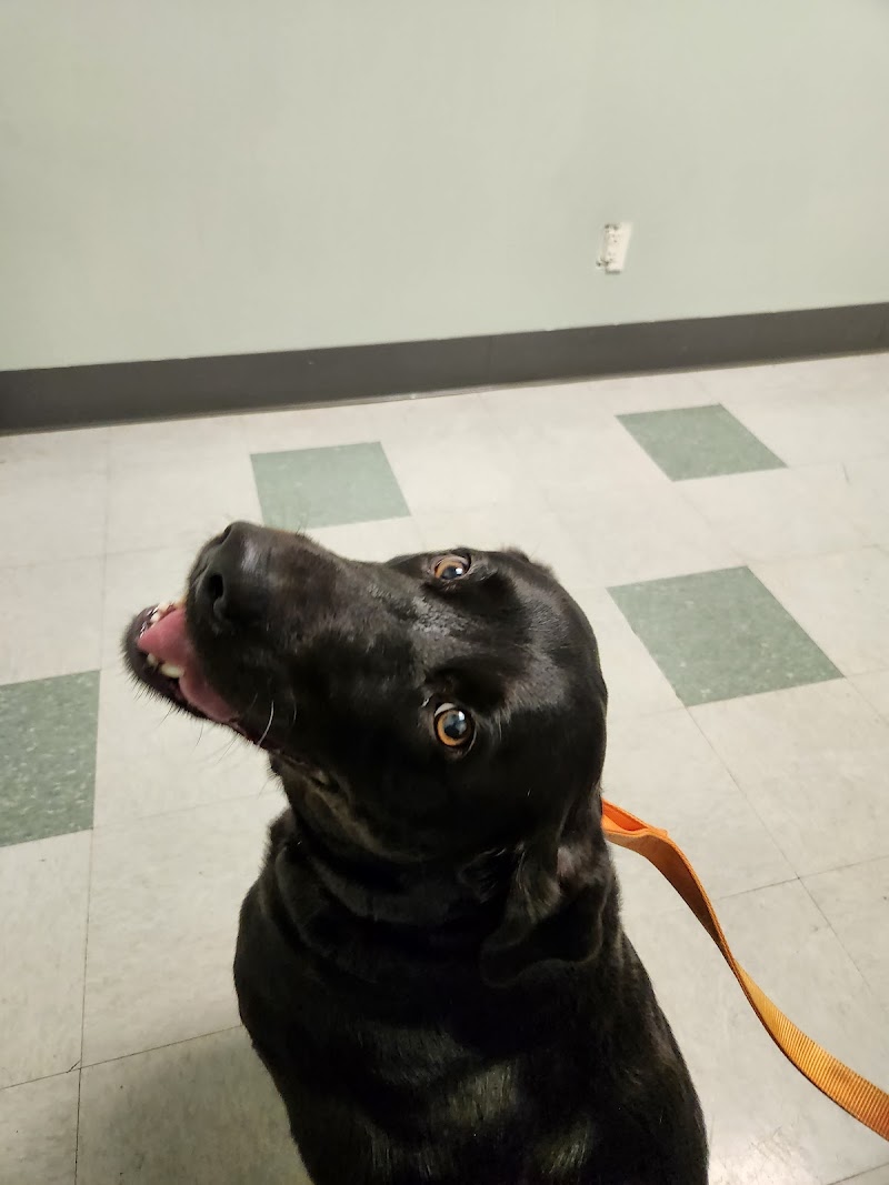 Family Pet Animal Hospital