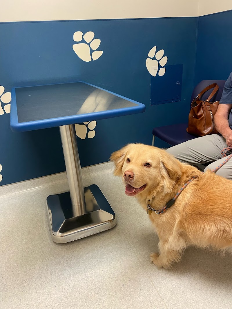 Cleveland School Animal Hospital