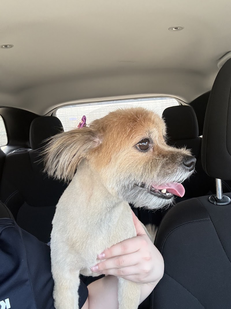 Woof Gang Bakery & Grooming Garner