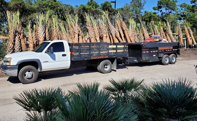 Dixie Landscaping & Turf Management