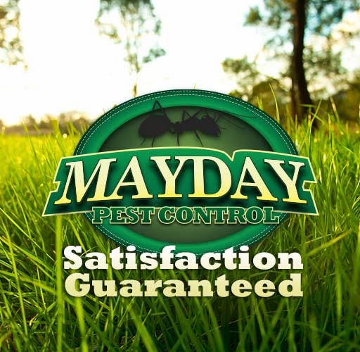 Mayday Pest Control