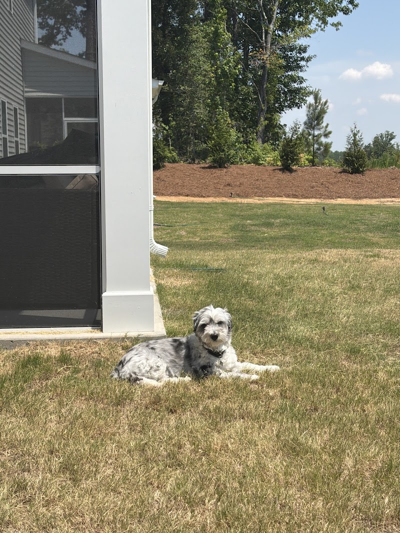 Sego Pest Solutions