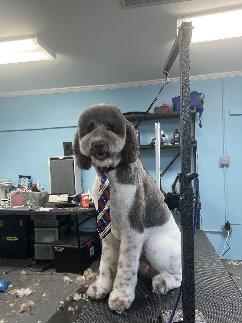 The Doggy Barbers