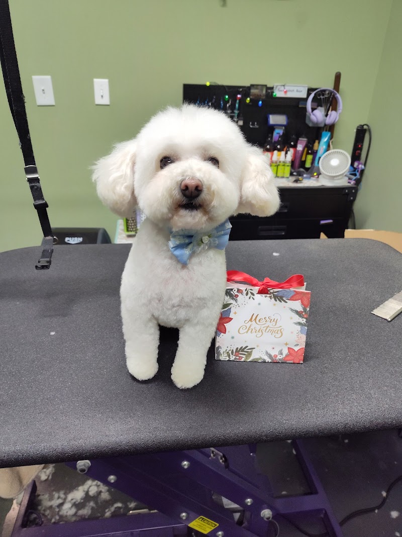 Wags to Riches Grooming, LLC.