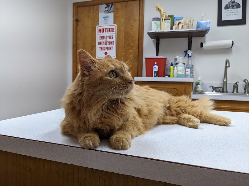 Fuquay Veterinary Hospital
