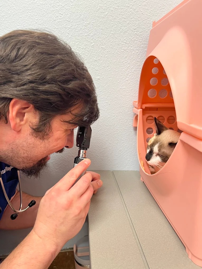PetSmart Veterinary Services - Garner