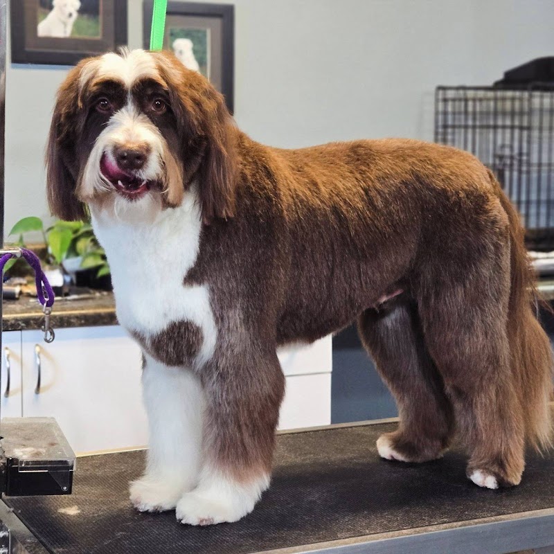 Rebel Tails Pet Grooming