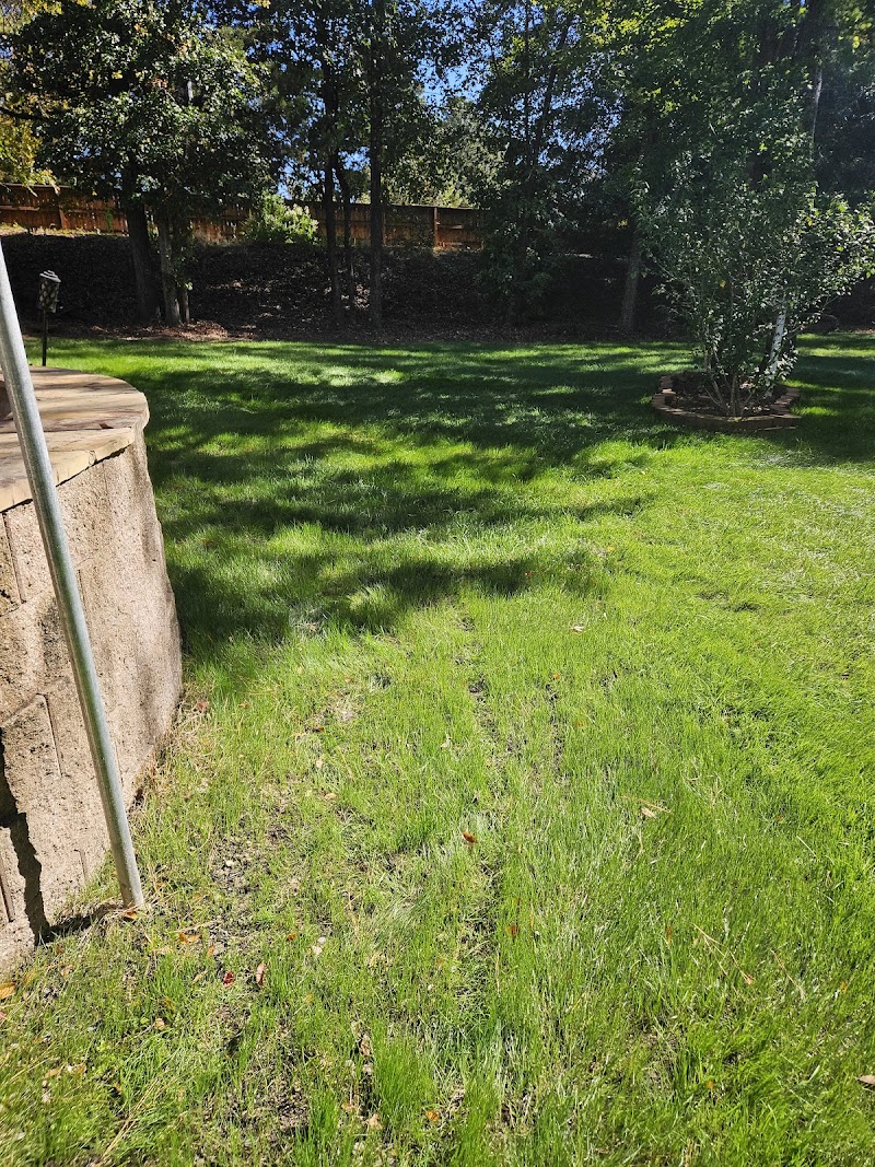 Campos Landscaping