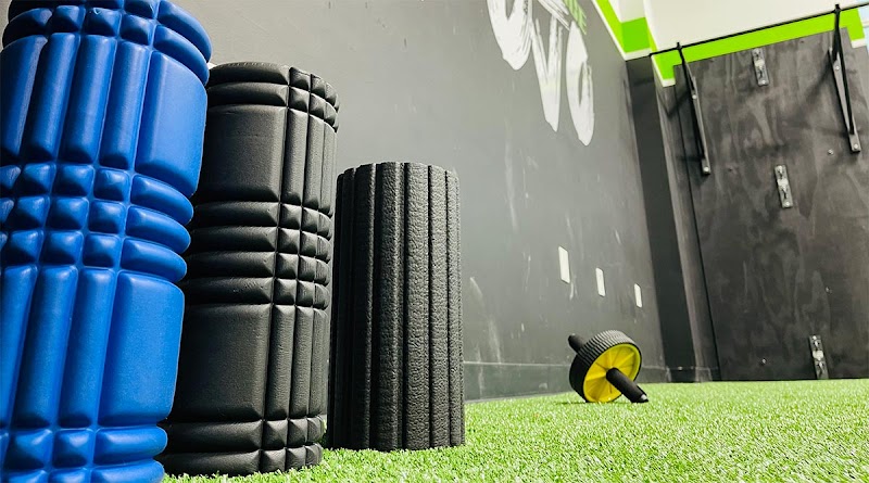 The Performance Dojo