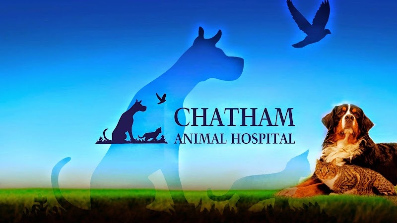 Chatham Animal Hospital