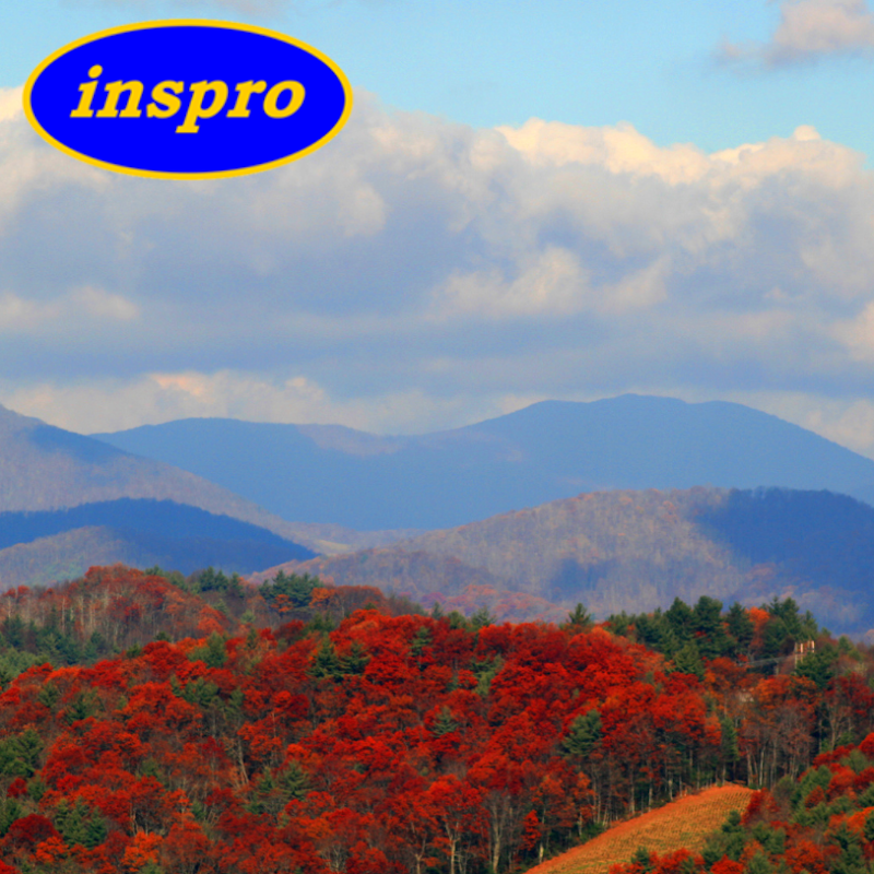 Inspro Professionals of NC, Inc.